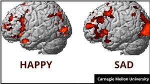 cerebro feliz 3